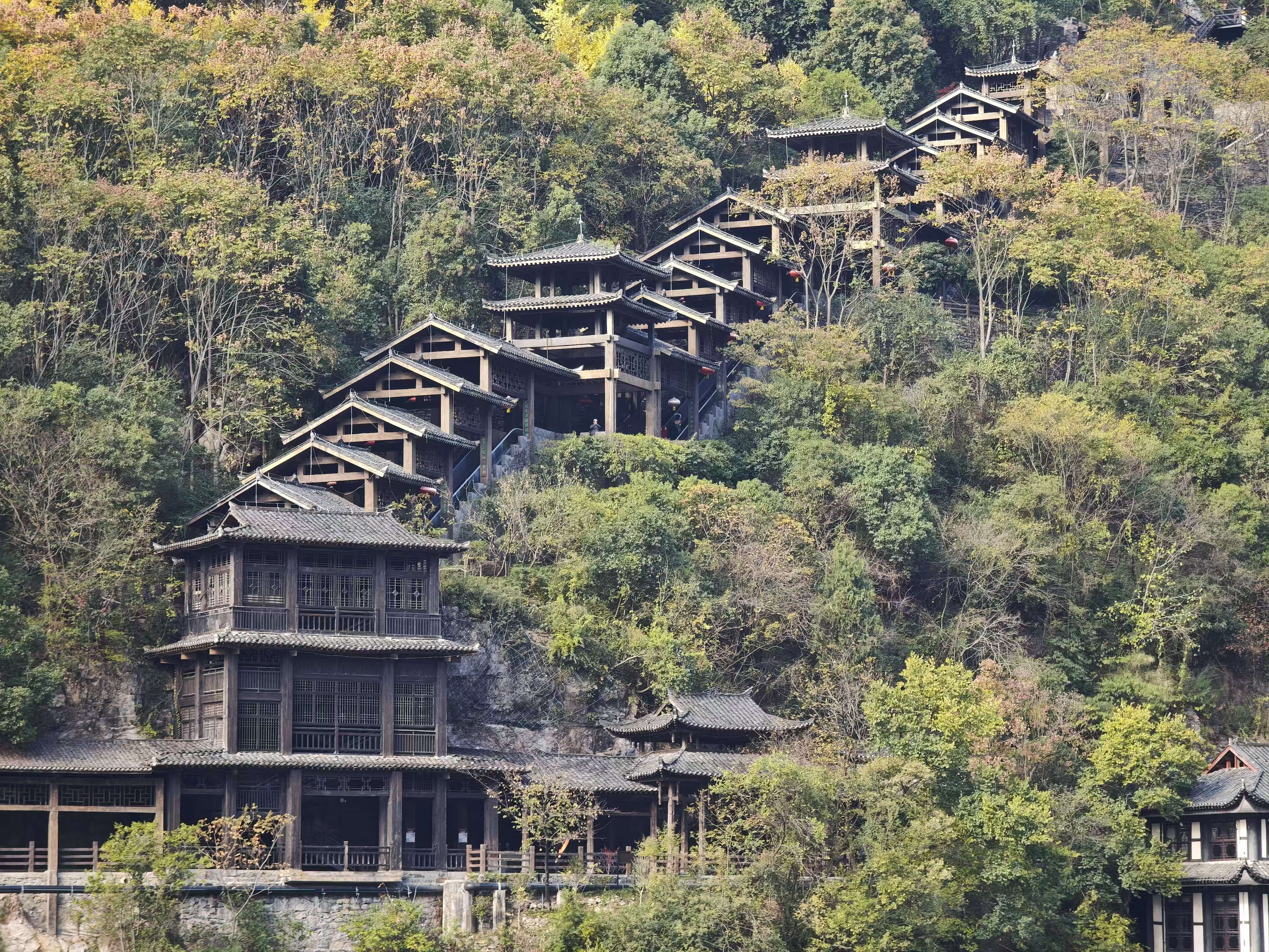 这是图片